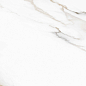 AC76509 Pelatin Polished 10mm 60х120 Pardis Ceramic Pazh
