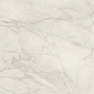 PF60015280 Tarsia Bianco Dolomiti Lux 3D Rett 60x120 Versace (Gardenia Orchidea)