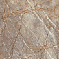 HEII Marvel Epic Natural Roots Lapp. 6mm 120x278 Atlas Concorde фото в миниатюре
