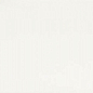 CLS010 COLORS LINE WHITE 31x31 Ascot