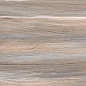 WT9ESR21 Esprit Wood 250*500*9 AltaCera