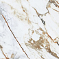 CALACATTA Macchia Vecchia Polished 60x120 Kale