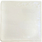 128206 ROOTS White S Gloss 11x11 WOW