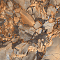 Aristo Sepia High Glossy 60х120 Maimoon Ceramica