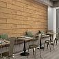 Lyptus Coffe 20x120 Gravita