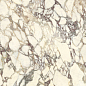 UM6S157671 CALACATTA VIOLA Soft 6mm 150x75 Ariostea