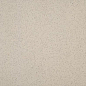 TAA26061 Taurus Granit 20x20 RAKO