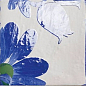 Portobello 20x20 Mainzu