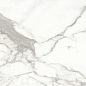 Invictus Natural 80x80 Baldocer