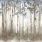 Dream Woods 6.5mm 120x278 Fondovalle