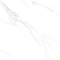 Statuario Venezia Glossy 60x60 Modern Tile