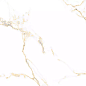 PR126 Bellevue Gold Polished 600х600х9 PrimaVera