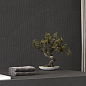 Badrock Shadow Laparet