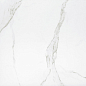 T66063 rect. matt. 60x60 Bonaparte