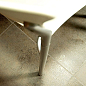 Evolution Ceracasa