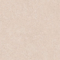 Selina Grey matt 60x120 Leopard фото в миниатюре 2