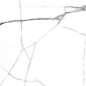 Onyx White PGVT 60x60 Casati Ceramica