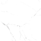 Oriental White 60x120 Realistik