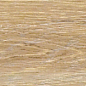 FOREST ROVERE 300x100 Kerlite