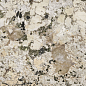 100340336 Xlight Alpinus White Texture 6mm 160x320 Urbatek