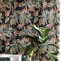 Manhattan RHS (Rondine) Ceramiche