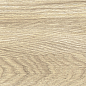 GP1560ASP21 Aspen Marron Sugar 151x602 New Trend