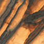 INF3423-4 Tiger All-Light Polished Ret 120x278 Fondovalle фото в миниатюре