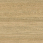 100348292 Xlight Cadore Arce Nature 120х270 Urbatek