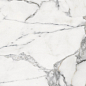 SS12046 Luxury Stone Pol 60x120 Fusure Ceramic