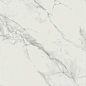 O-CLM-GGM054 Calacatta Marble 79.8x79.8 Meissen