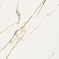 610010002839 Stellaris Calacatta Gold Nat Ret 80x160 Italon