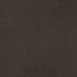 48036R Evolution marron матовый обрезной 40x80 Laparet