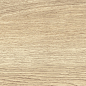 GP1560TAN01 Tanzania Crema матовый 151x602 New Trend