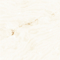 PRO 1005G Natural Beige 600x600 Progres