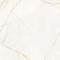 PF60017518 Supreme Hedonism Golden Spider Nat R 60x120 Flaviker