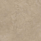 8167 Shell BG 60х60 Creto