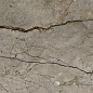 800 Passion Dark 29.5x89.5 Eurotile Ceramica