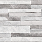 TWU2550DCV17 Discover рельефная 249x500x8 Alma Ceramica (Уралкерамика)