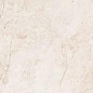 6406 Stone Ivory Polished 60x120 Leopard