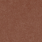 Scs Spectra Chilli Glossy 5,8х25 Simpolo Ceramics
