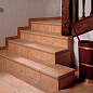 Torelo Step Exagres фото в миниатюре 2