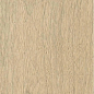 610010004067 Bormio Sand Ret 20x120 ColiseumGres фото в миниатюре 5