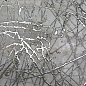 BRAS12 Decor Bright Silver 60х120 Brennero