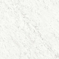 PL612555 Bianco Carrara Lucidato ret 60x120 Ariostea