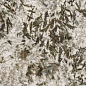 MN627BP261206 Frozen Fox Polished 6mm 120x260 Moreroom Stone