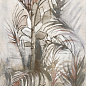 Dream Jungle 6.5mm 120x278 Fondovalle