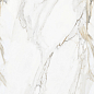 Calacatta Oro Glossy 60x120 Modern Tile