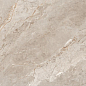 N20767 Rome Taupe Polished 60x120 Neodom фото в миниатюре 5
