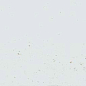 Hope White 7.5x30 Ribesalbes