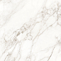 Carrara Immense Белый Полированный 80х80 Ceradim